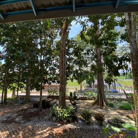 Homestay Dusun Ana Balun Слим Ривер Экстерьер фото